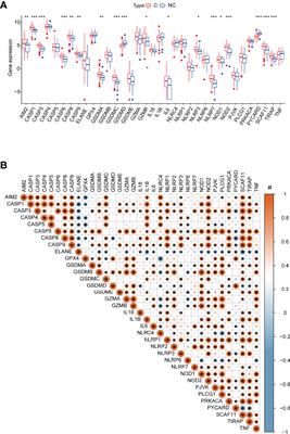 Pyroptotic Patterns in Blood Leukocytes Predict Disease Severity and Outcome in COVID-19 Patients